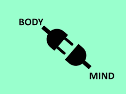 A two pin plug and socket. The word body at the top and the word mind beneath