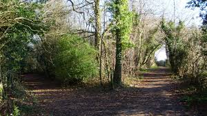 Two country paths, which way to take?