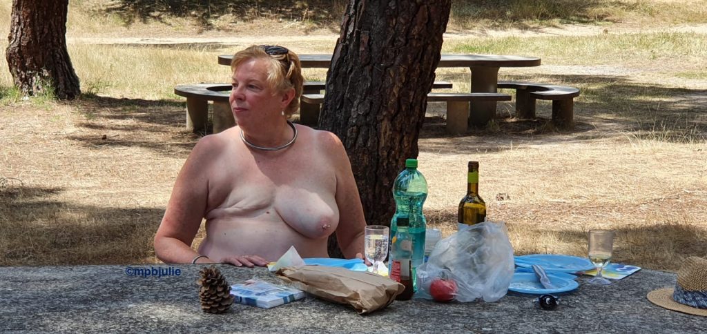I'm sitting at a picnic table at a picnic site naked. You can see my naked top half. I'm surrounded by the remains of our picnic.