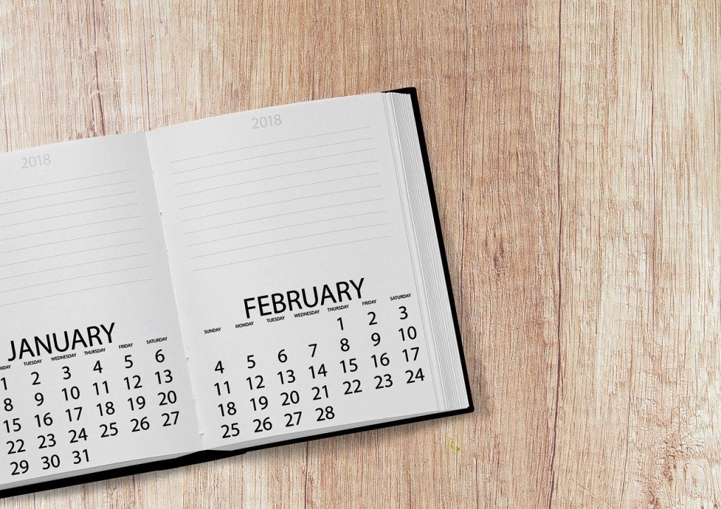 Diary featuring January and February 