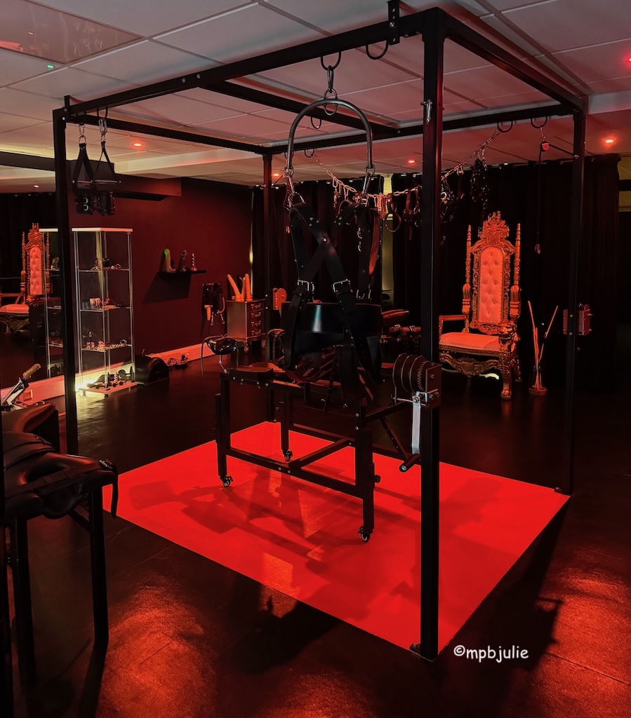 A frame with lots of straps, collars and other leather gear hanging from it.